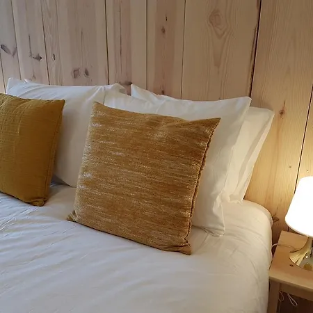 Cool Guest house *